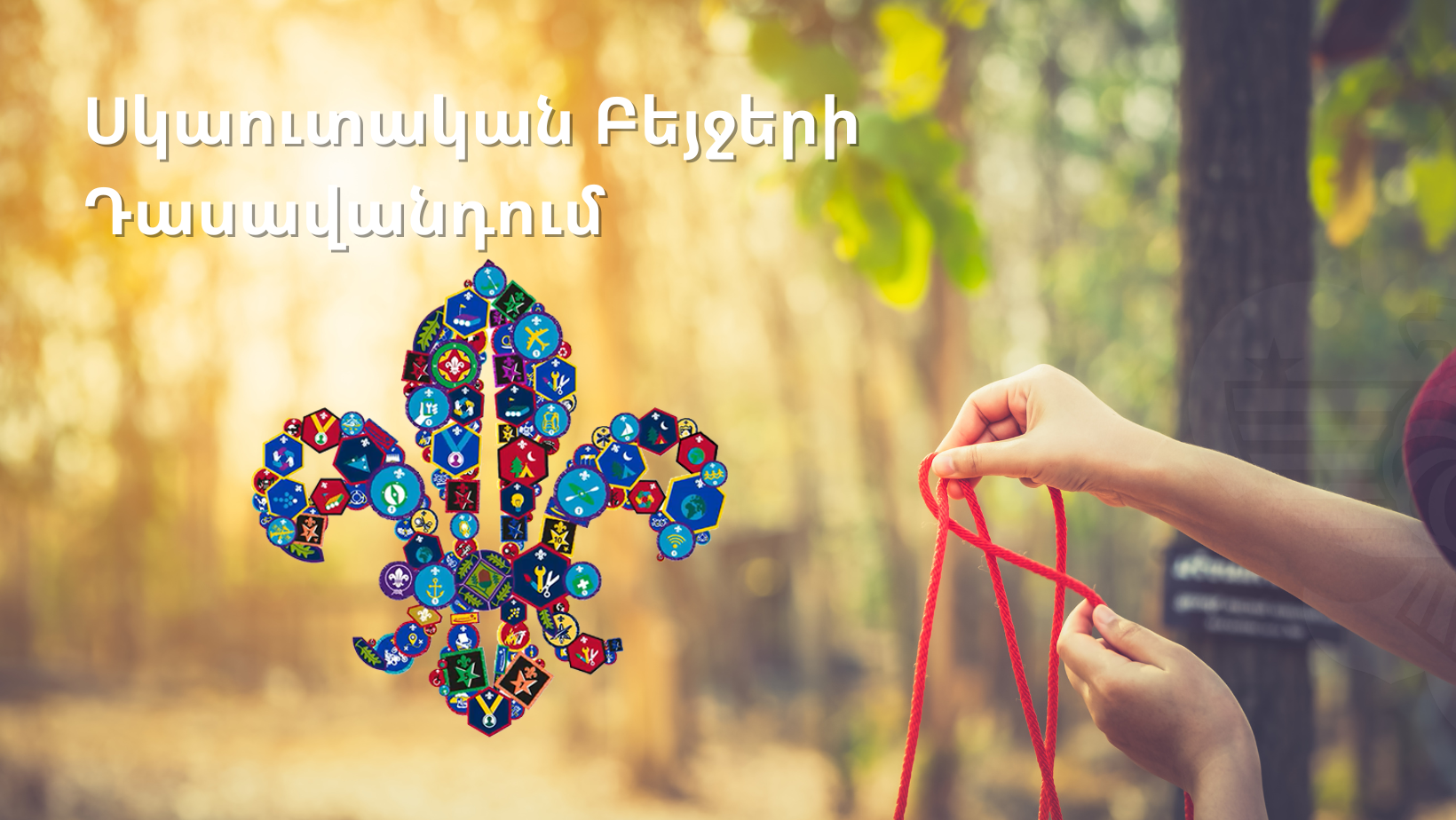 Բեյջերի դասավանդում